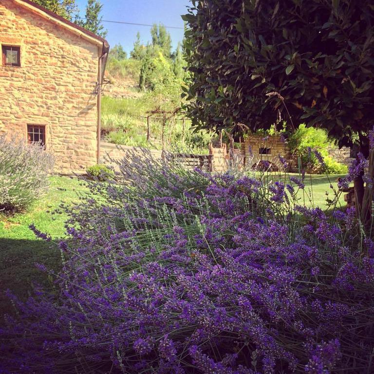 Ca' Maranghi Holiday House Palazzuolo Sul Senio Exteriér fotografie